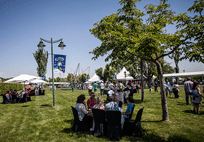 25-aniversario-cesa-03